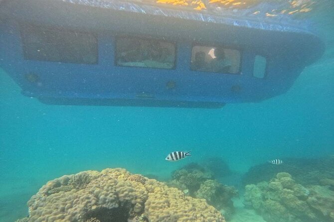 Reef and Beach Experience in Zanzibar - Dress Code and Guidelines