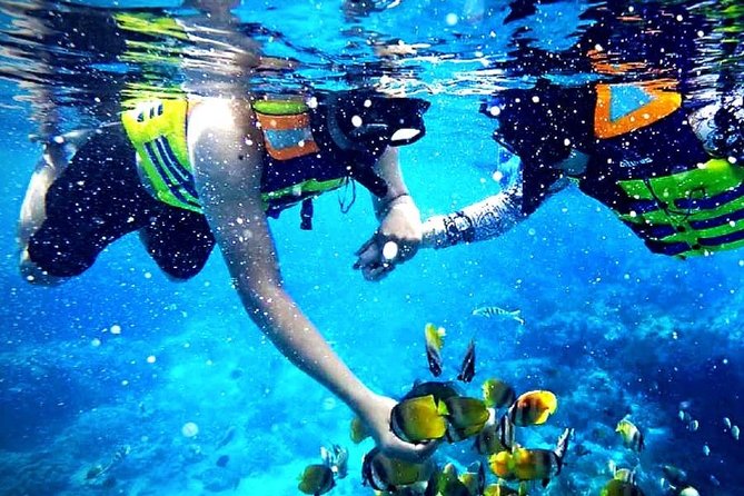 Reef Snorkeling - Sea Trip Hurghada - Price and Booking