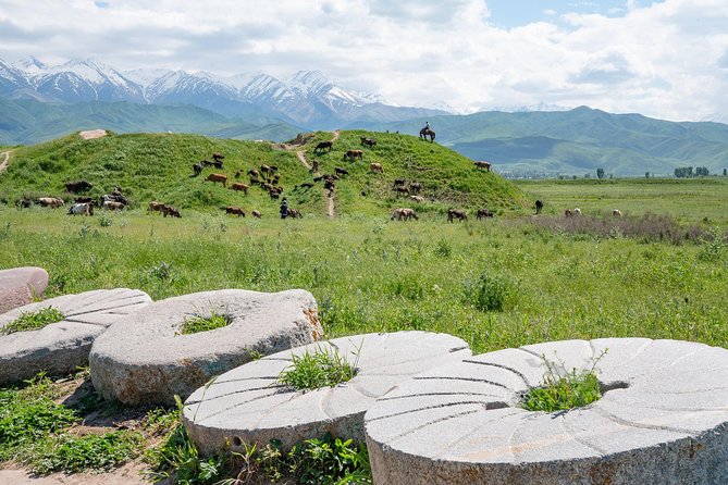 Relax for a Day in Chon-Kemin - Cancellation Policy
