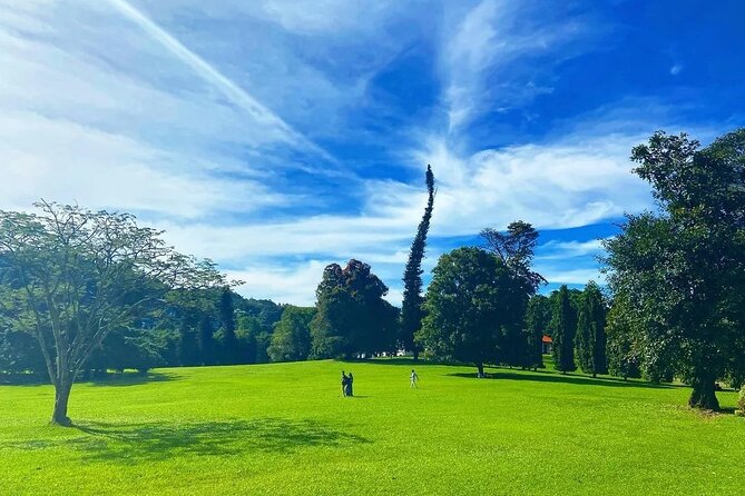 Return Airport Transfers & Kandy Day Tour From Colombo - Booking Details