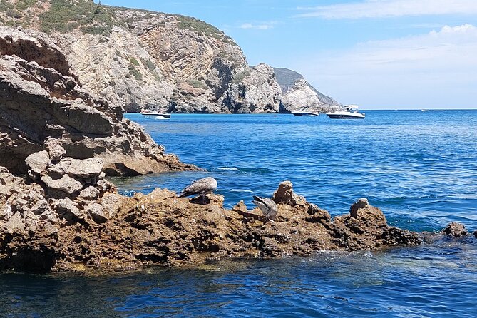 Ribeiro Do Cavalo Beach Taxi Boat Transfer Round Trip - Booking Details