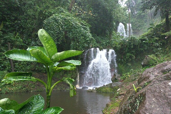 Rincon De La Vieja Day Trip Adventure From Playa Del Coco - Tour Details