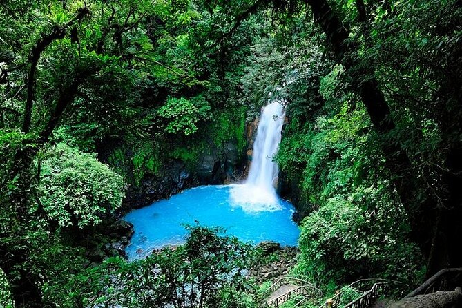 RÍO CELESTE: Tubing+Rainforest+Wildlife+Tenorio Volcano - Tips for Your Adventure