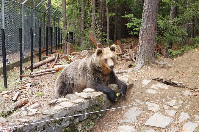 Road Trip Bulgaria™, GPS & Audio-Guided Fun and Adventure Tour in Rila Mountains - Pickup Logistics