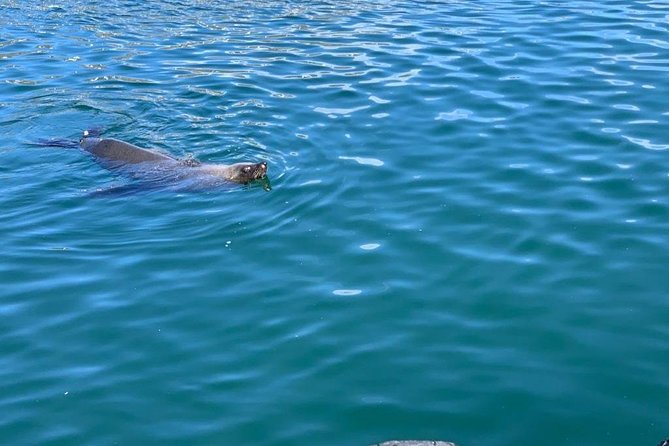 Robben Island Half Day Tour With Pre Booked Ticket (s) - Booking Process