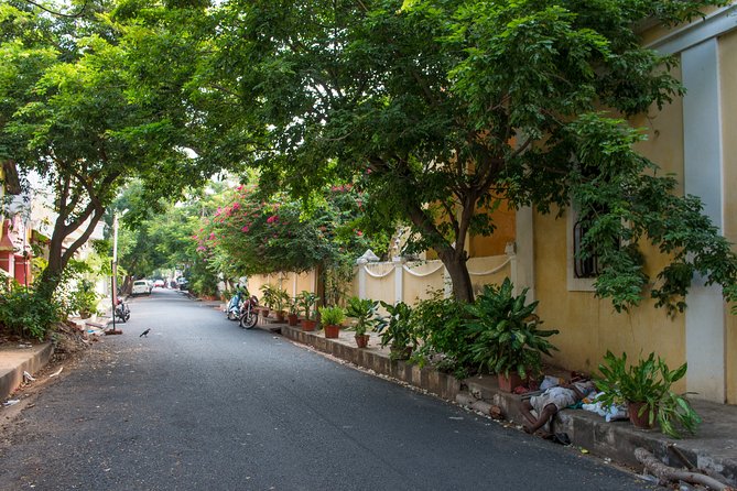 Romantic Tour in Pondicherry - Wine Tasting at Local Vineyard