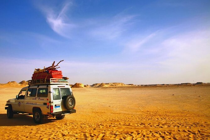 Royal Desert Safari Hurghada (Quad, Camel, Buggy, Dinner & Show) - Additional Activities