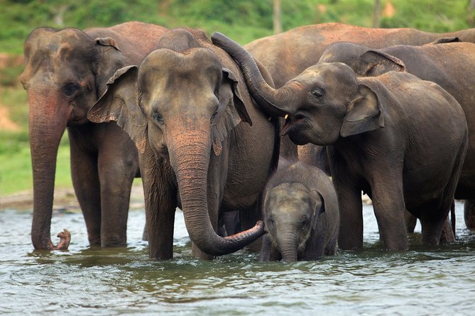Safari in Selous From Zanzibar: 04 Night 05 Days Safari – Full Board - Pricing and Booking Information