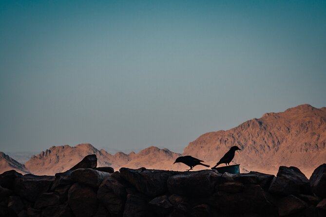 Saint Catherine Monastery and Moses Mountain Private Tour From Taba - Additional Information