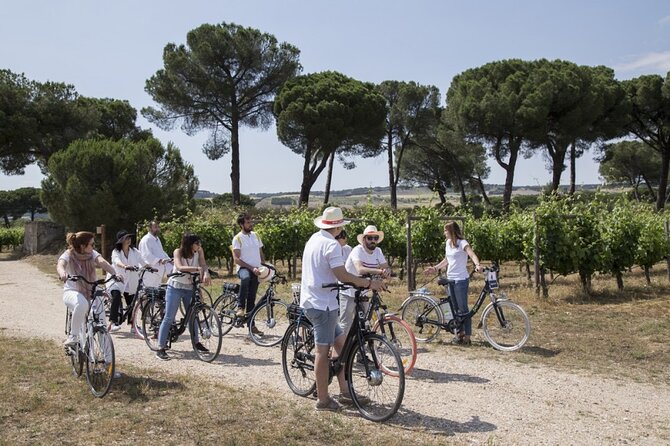 Saint Emilion Private E-Bike Winery Tour With Picnic Lunch - Booking Information