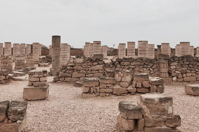 Salalah City Tour (Half-Day Tour) - Accessibility Details