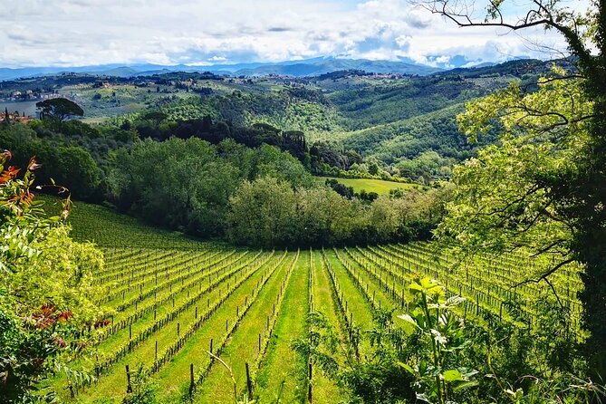 San Gimignano and Chianti Classico Winery Wine & Lunch Included - Additional Information