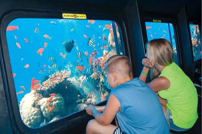 Sea Scope Semi Submarine Adventure From Sharm El Shaikh