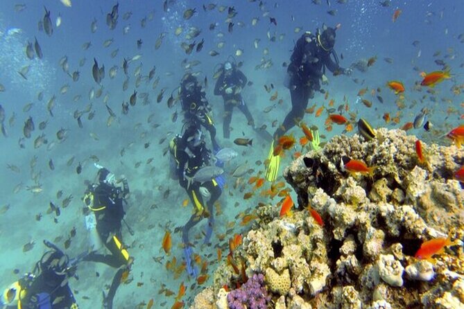 Sea Scope With Snorkeling Experience in Hurghada - Underwater Panorama View