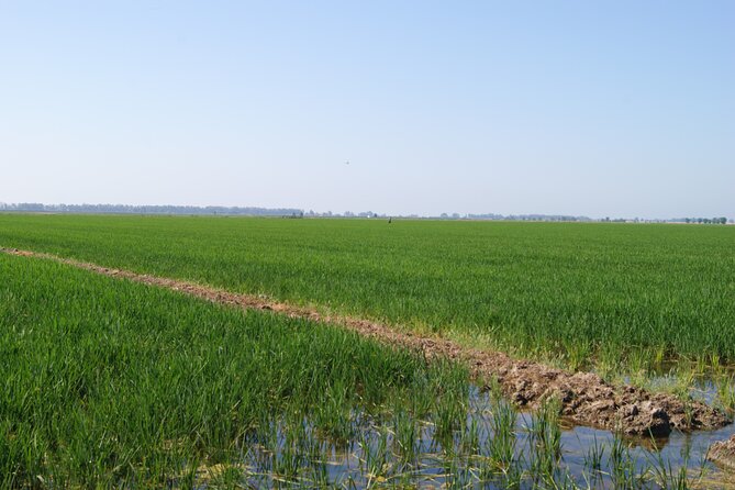Self-Guided Bike Tour Around Doñana From Seville - Frequently Asked Questions