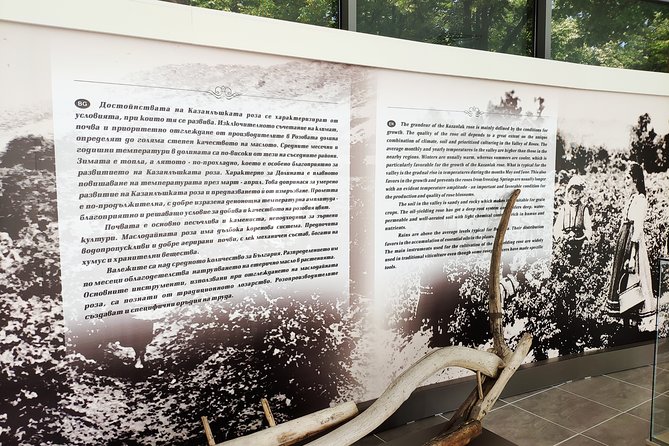 Self-Guided Tour in the Museum of Roses - Pricing Information