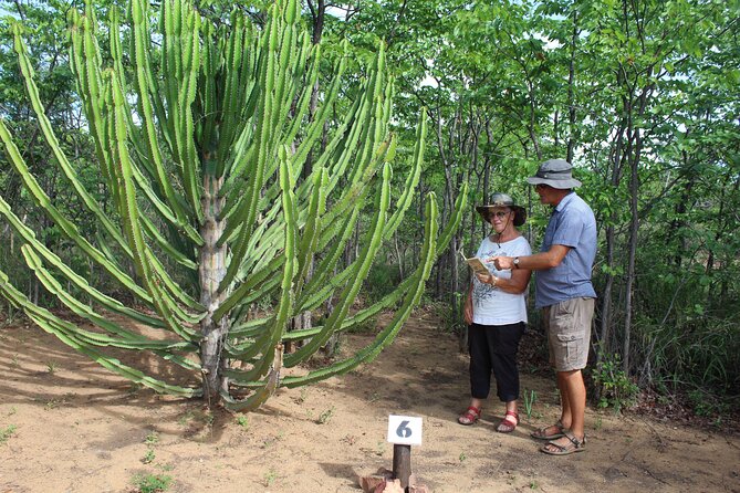 Self-Guided Trails With Bush Braai and a Movie - Additional Information