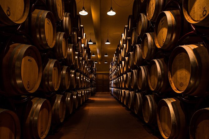 Sensorial Wine Tasting and Masterclass in Chianti Region - Background
