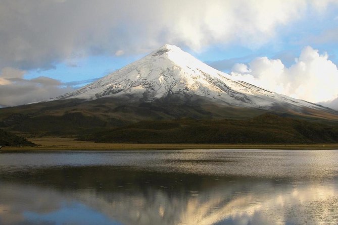 Shared Cotopaxi National Park Tour From Quito