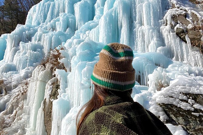 Shared Korean Winter Tour at Nami Island With Professional Guide - Cancellation Policy