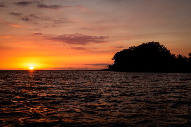 Shared Shuttle San Jose to Tamarindo - Customer Reviews and Feedback