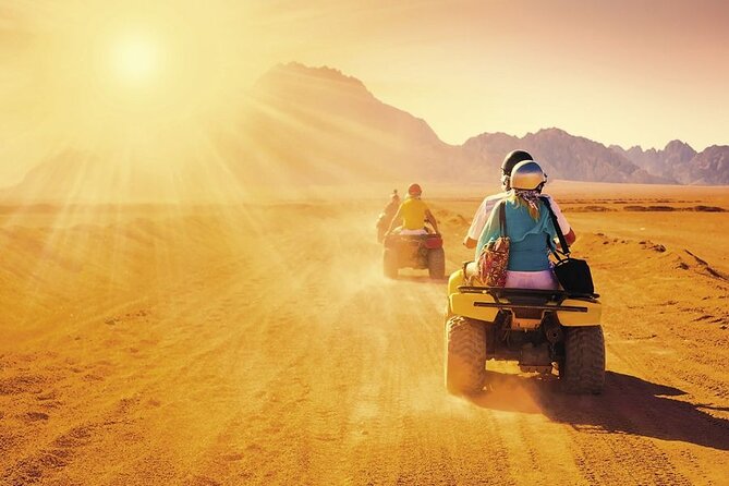 Shared Tour Quad Bike Camel Ride Buggy Car + Dinner in Hurghada - Operator Details