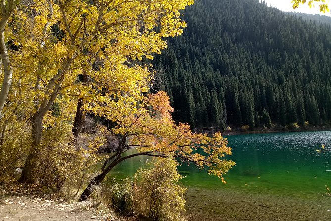 Shared Tour to Charyn Canyon Kolsay Lake Black Canyon Bartogay - Pricing