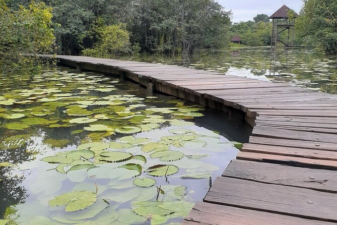 Shore Excursions Port Passenger Terminal to Colombo Wetland Tour. - Operating Hours Details