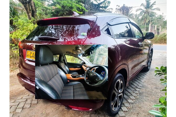 Shore Excursions to Mangrove Wetland Colombo. - Environmental Impact