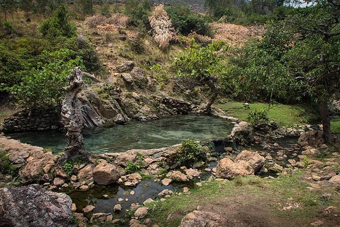 Short Wildlife and Nature Safari in Rumonge - Operator Overview