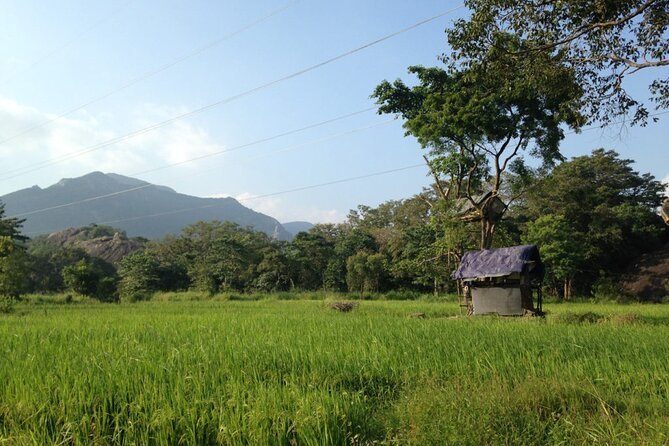 Sigiriya & Hiriwaduna Village Tour From Sigiriya - Itinerary Overview
