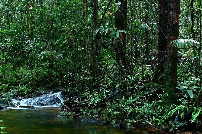 Sinharaja Rain Forest Guided Day Tour - Meeting Point Details