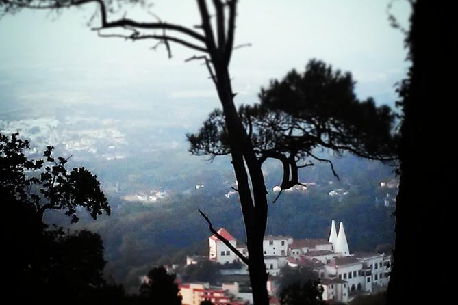 Sintra, Legends and Medieval Stories - Private Day Walk - Frequently Asked Questions