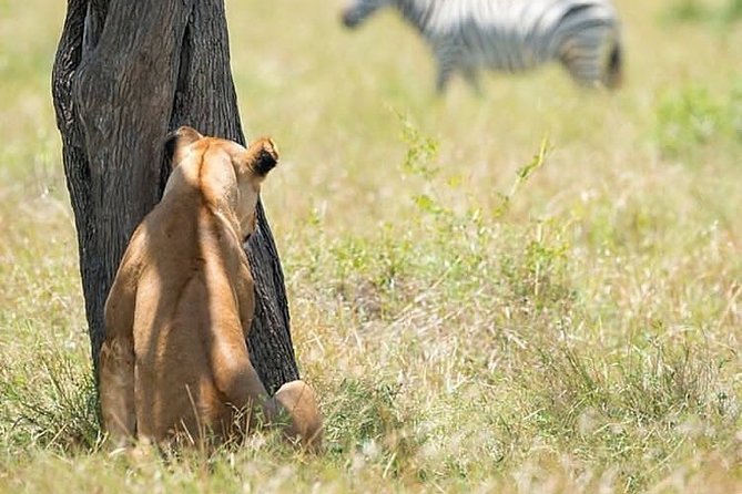 Six Days Big Five Safari - Cancellation Policy