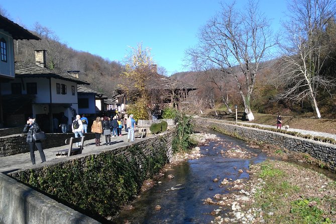 Skip the Line: Tour in Open Air Ethnographic Museum ETAR + Ticket - Booking Details, Accessibility, and Policies