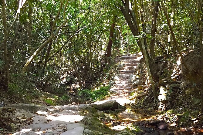 Small Group Hiking Day Tour to Lai Chi Wo - Directions and Reservation Process