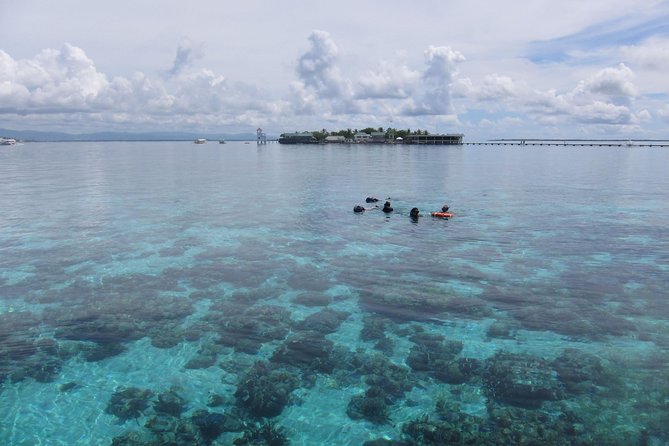 Snorkeling at San Vicente With Speed Boat