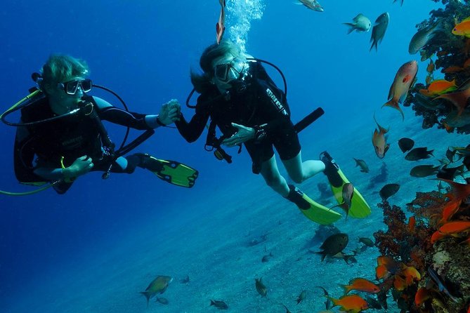 Snorkeling Day Tour by Boat to Ras Muhammad and the White Island - Logistics and Transportation