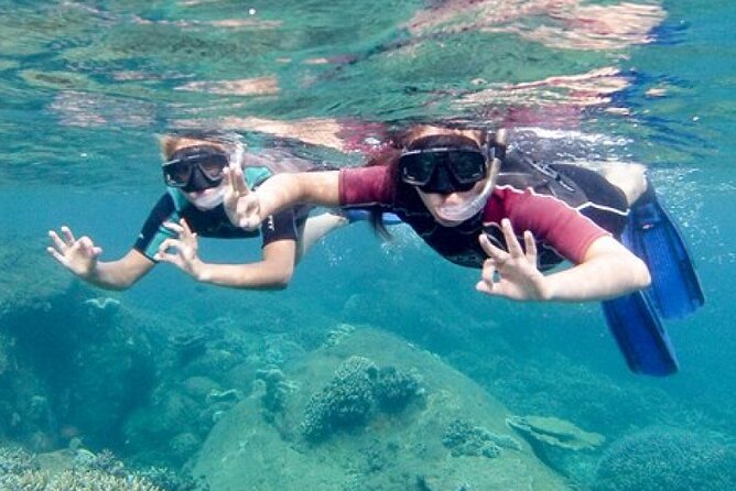 Snorkeling in Trincomalee - Activity Overview