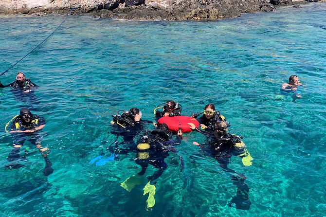 Snorkeling Trip to Giftun Island - Operator Details