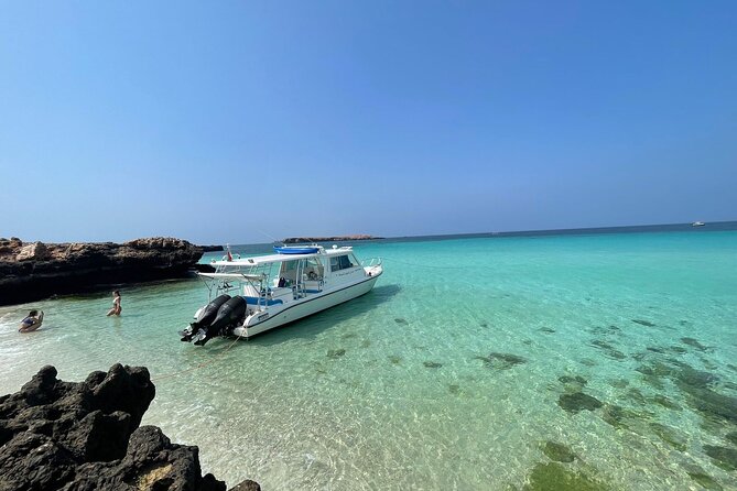 Snorkeling Trips to Daymaniat Island - Health and Safety Guidelines