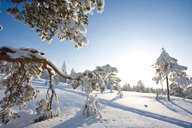 Snowshoe Trip for Searching Arctic Animals - Meeting and Pickup