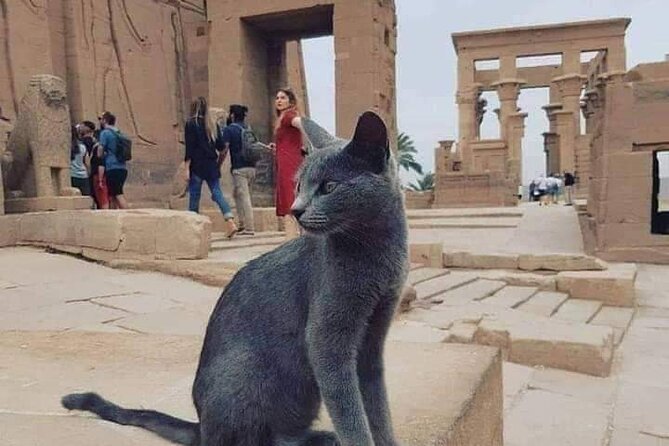 Soul Mate{4days Luxor,Aswan} - Additional Information