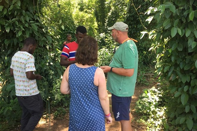Spice Farm Tour and Jozani Forest Private Tour in Zanzibar - Group Size and Pricing