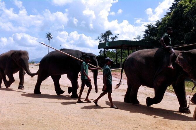 Srilanka Private 5Days Tour Friendly Chauffeur & Vehicle With & Without Hotel HB - Directions