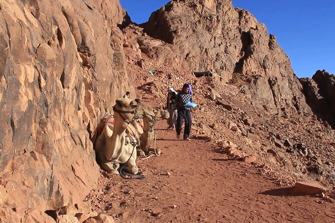 St Catherine And Dahab Day Trip From Sharm-el-sheikh - Important Notes