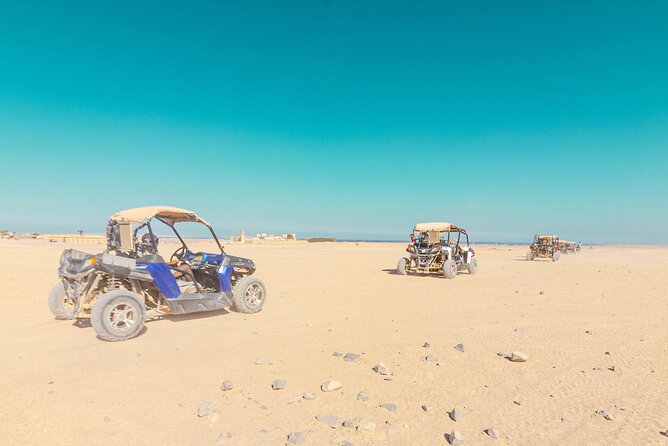 Stargazing Safari Adventure With Camel Ride, Dinner in Hurghada - Reservation and Cancellation Policies