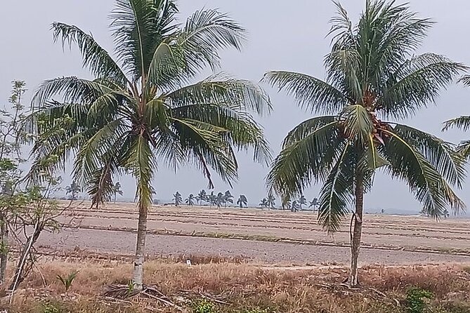 Steam Locomotive Train Trip Through West Malaysia - Additional Options