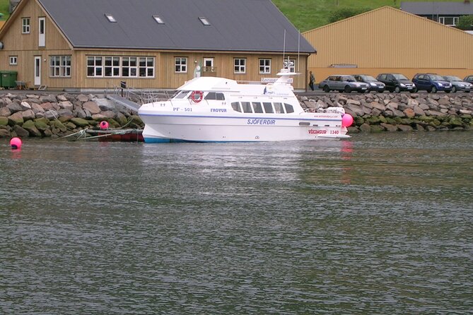 Summer Full Day Tour to Vestmanna, Kvívík, Gásadal and Sandavag - Reviews and Rating