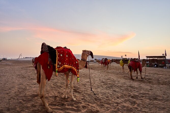 Sunset By Bike Quad, Camel Ride Bedouin Dinner in Marsa Alam - Meeting and Pickup Logistics